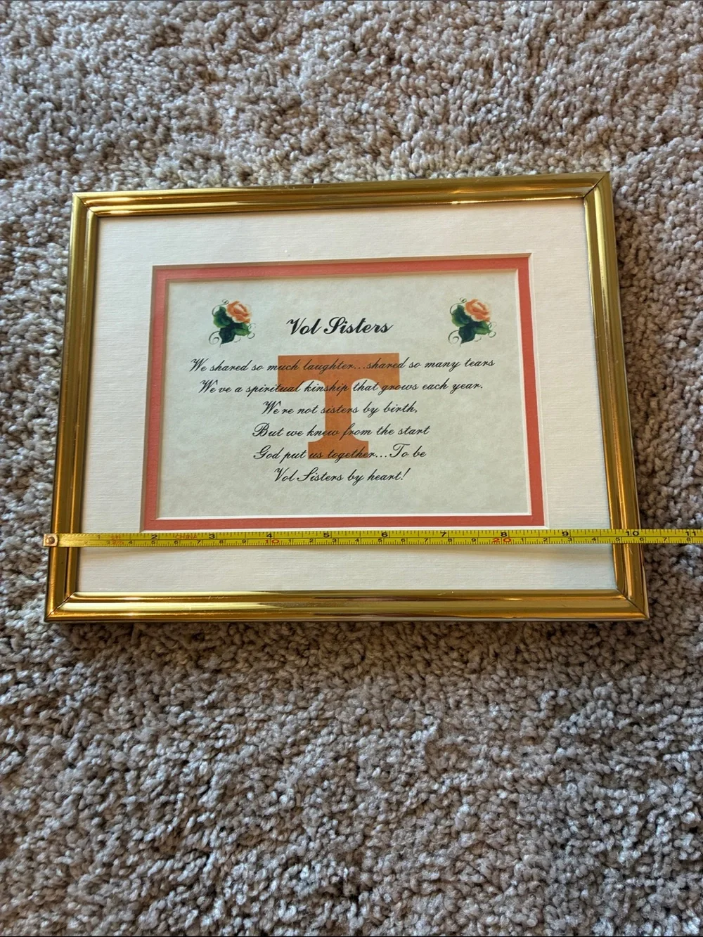 Gold Picture Frame with Coral Mat Accent